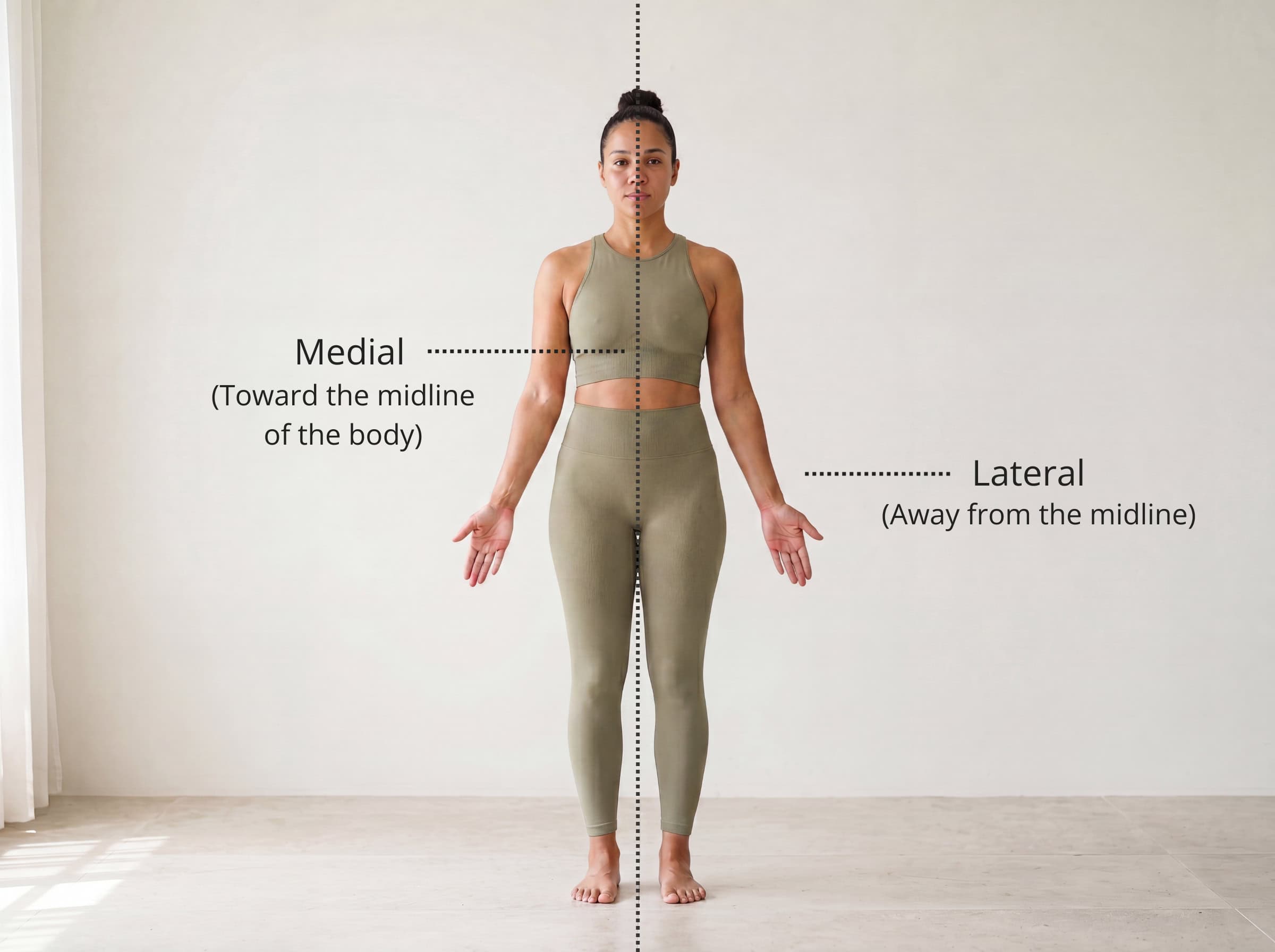 Medial and lateral directions labelled — medial is toward the midline, lateral is away from it