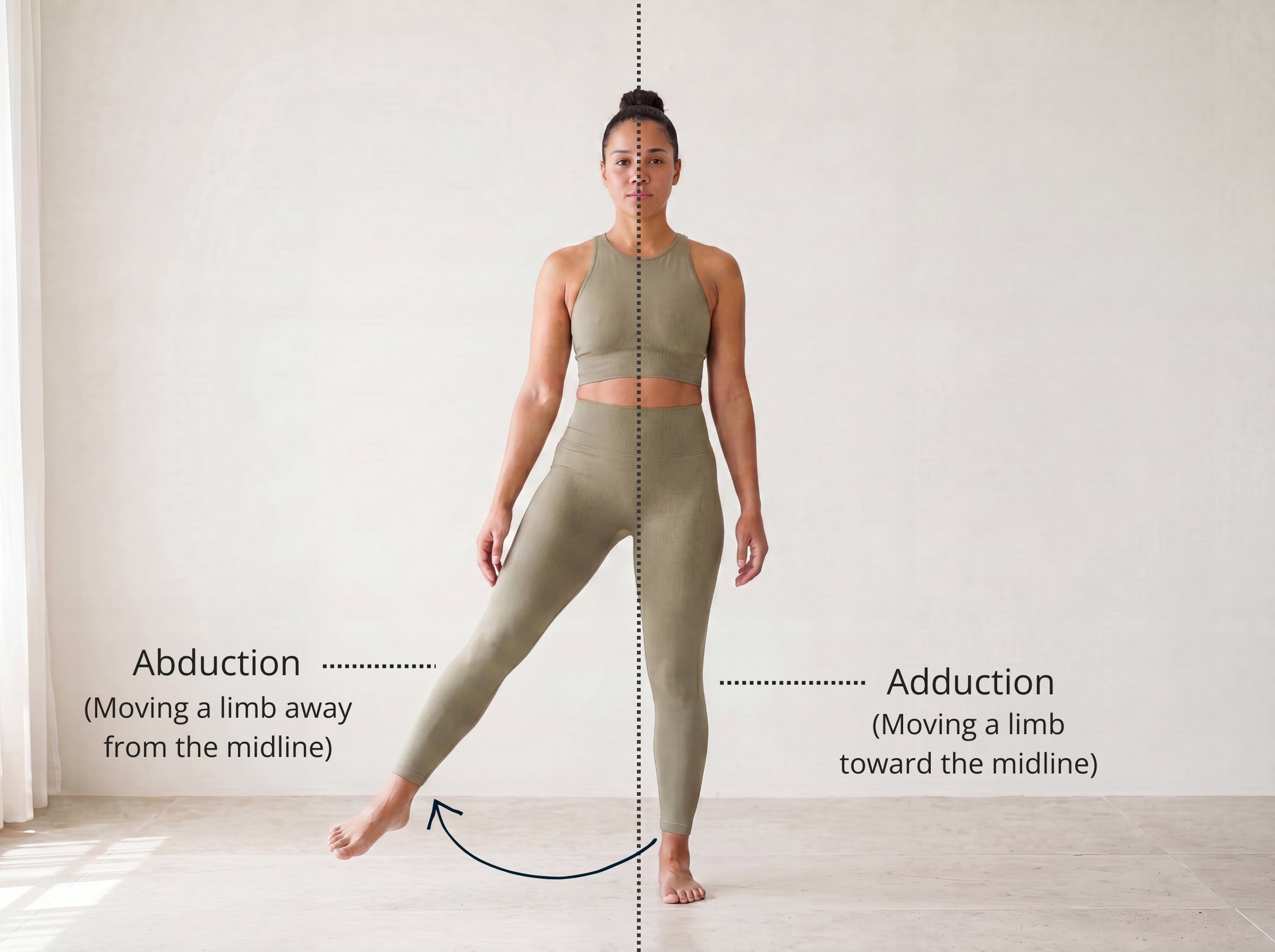 Abduction and adduction — abduction moves a limb away from the midline, adduction brings it toward the midline