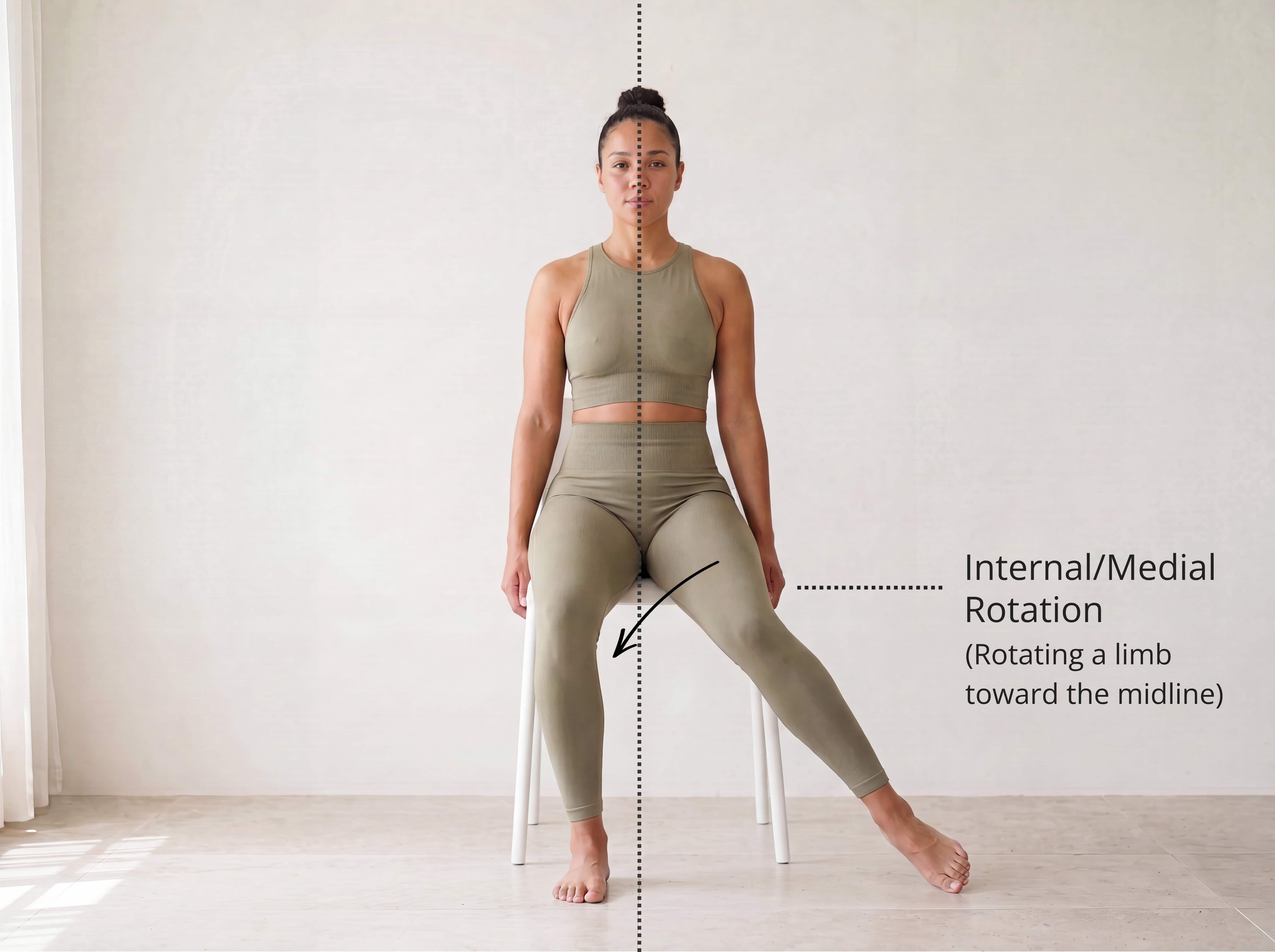 Medial rotation — the femur rotating toward the midline