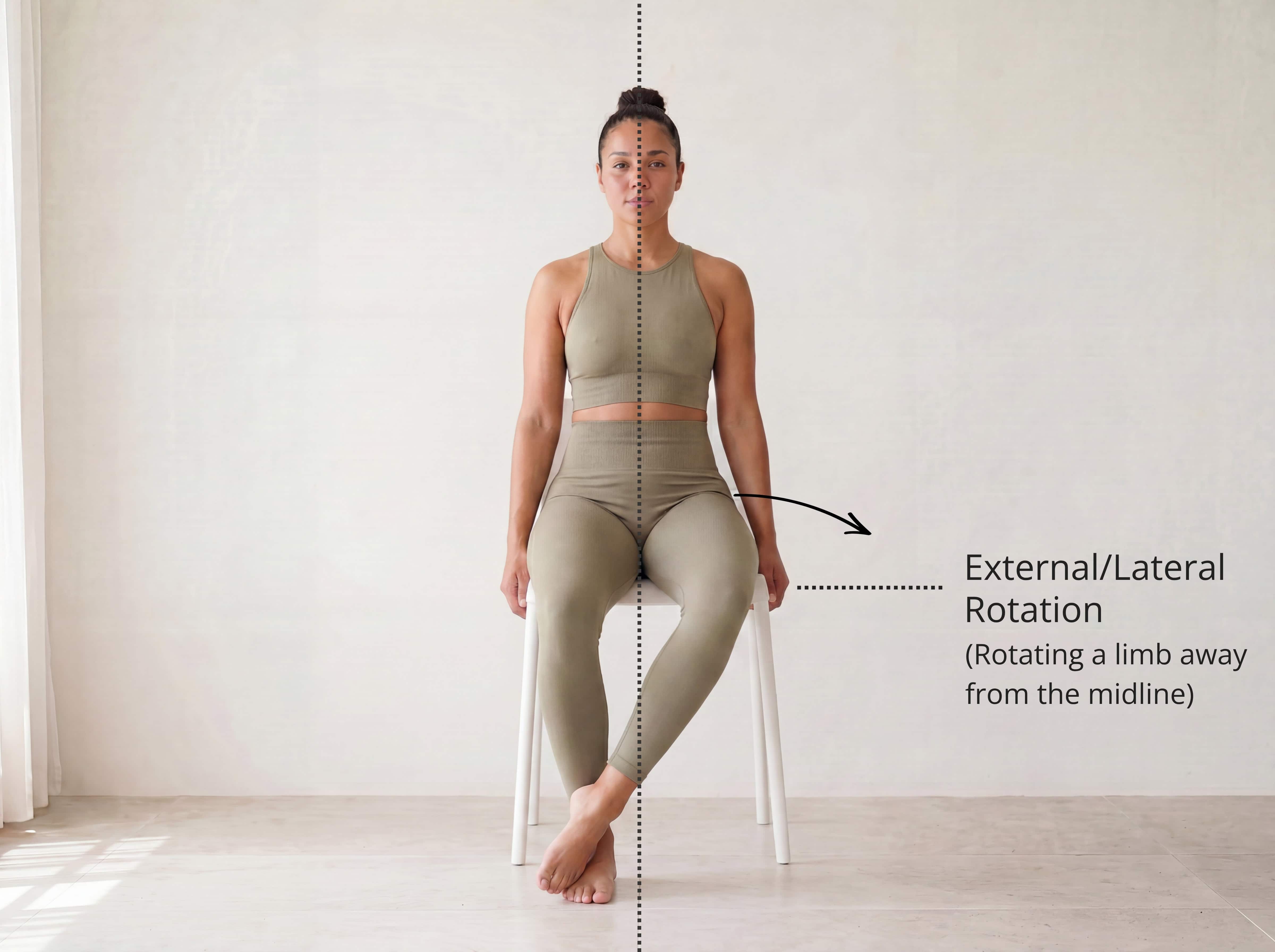 Lateral rotation — the femur rotating away from the midline