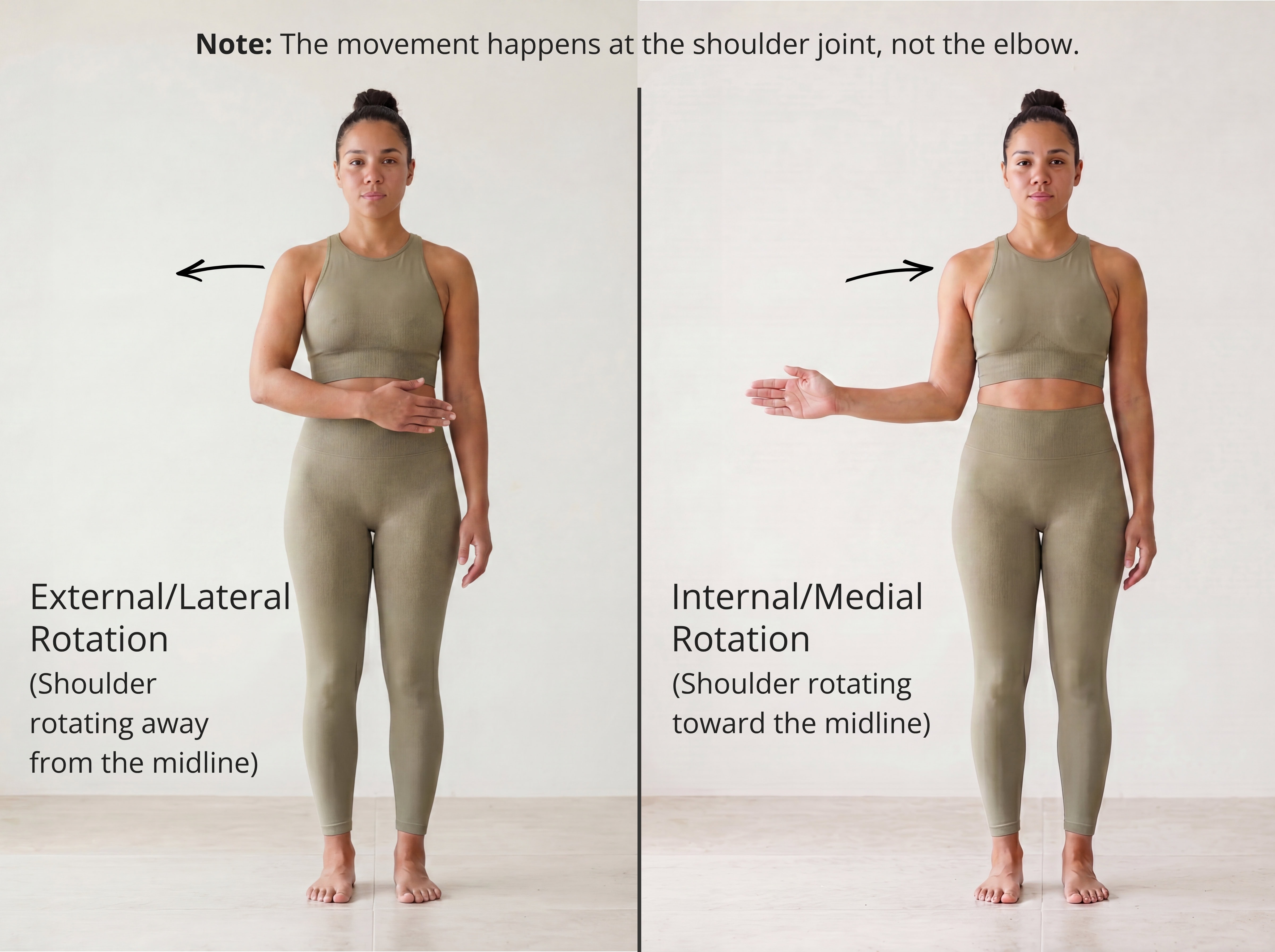 Shoulder internal rotation — the arm moves but the joint rotates toward the midline