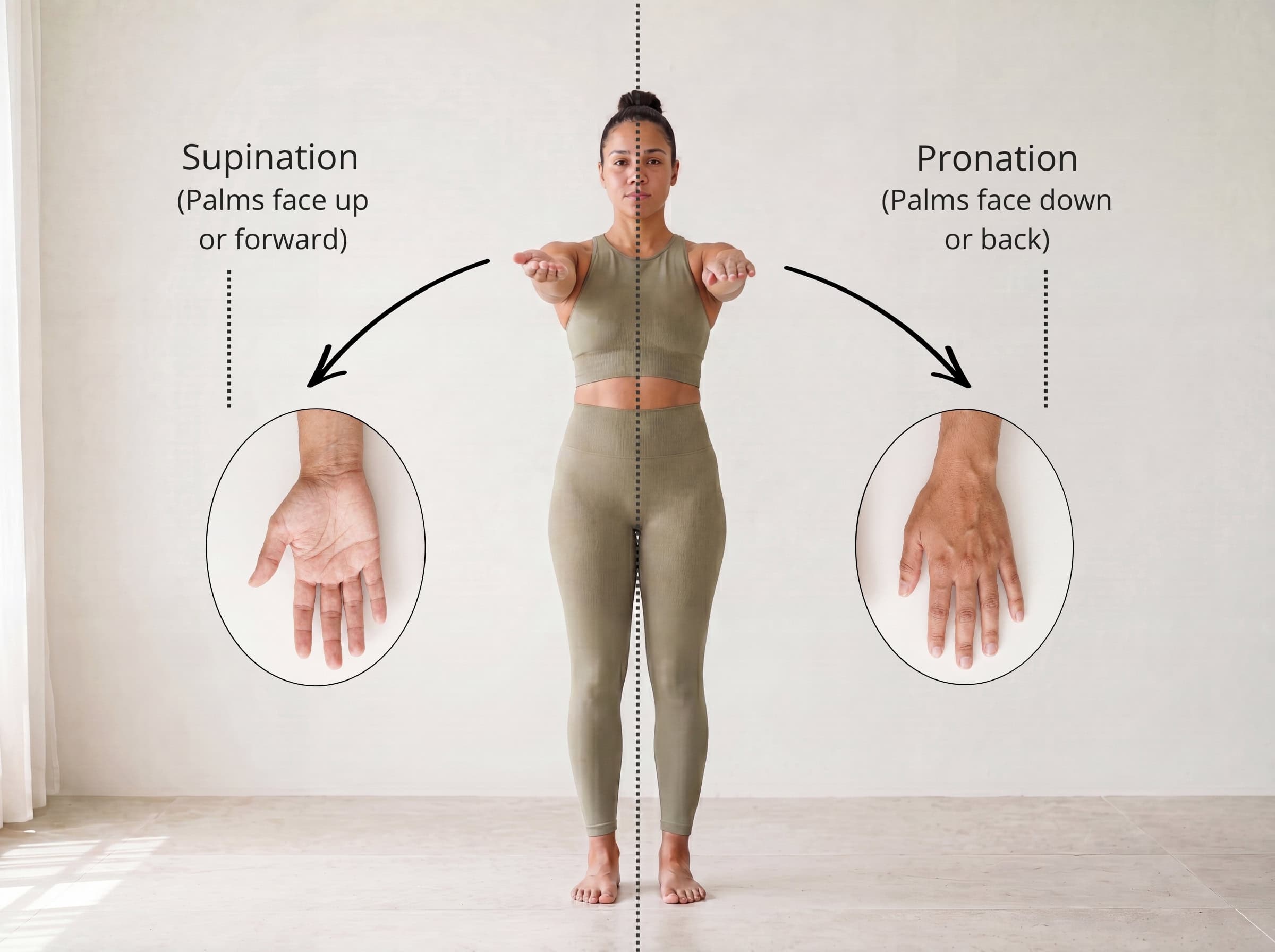 Supination and pronation of the forearm — supination turns the palm up or forward, pronation turns it down or back