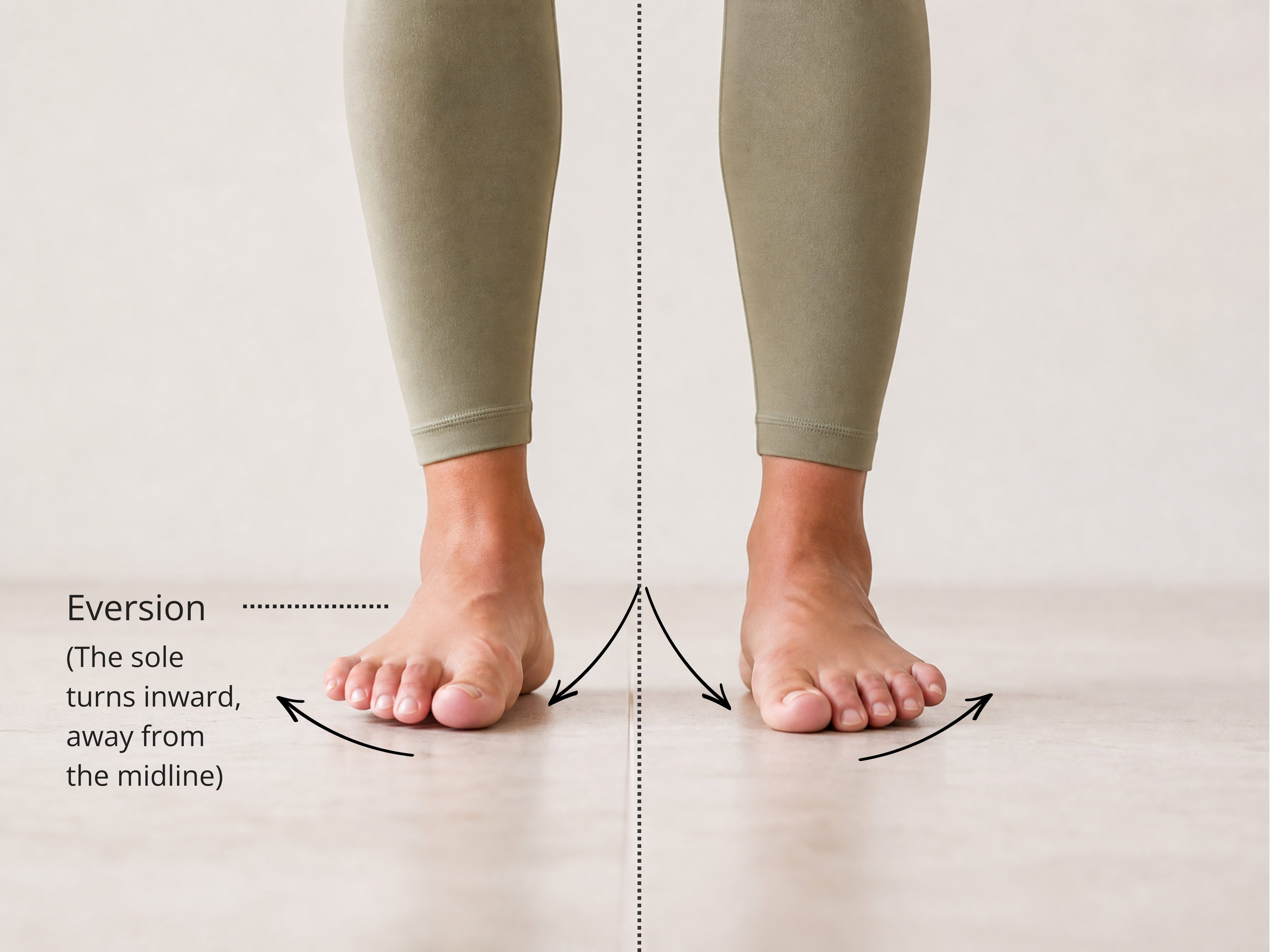 Eversion — the sole of the foot turns outward away from the midline