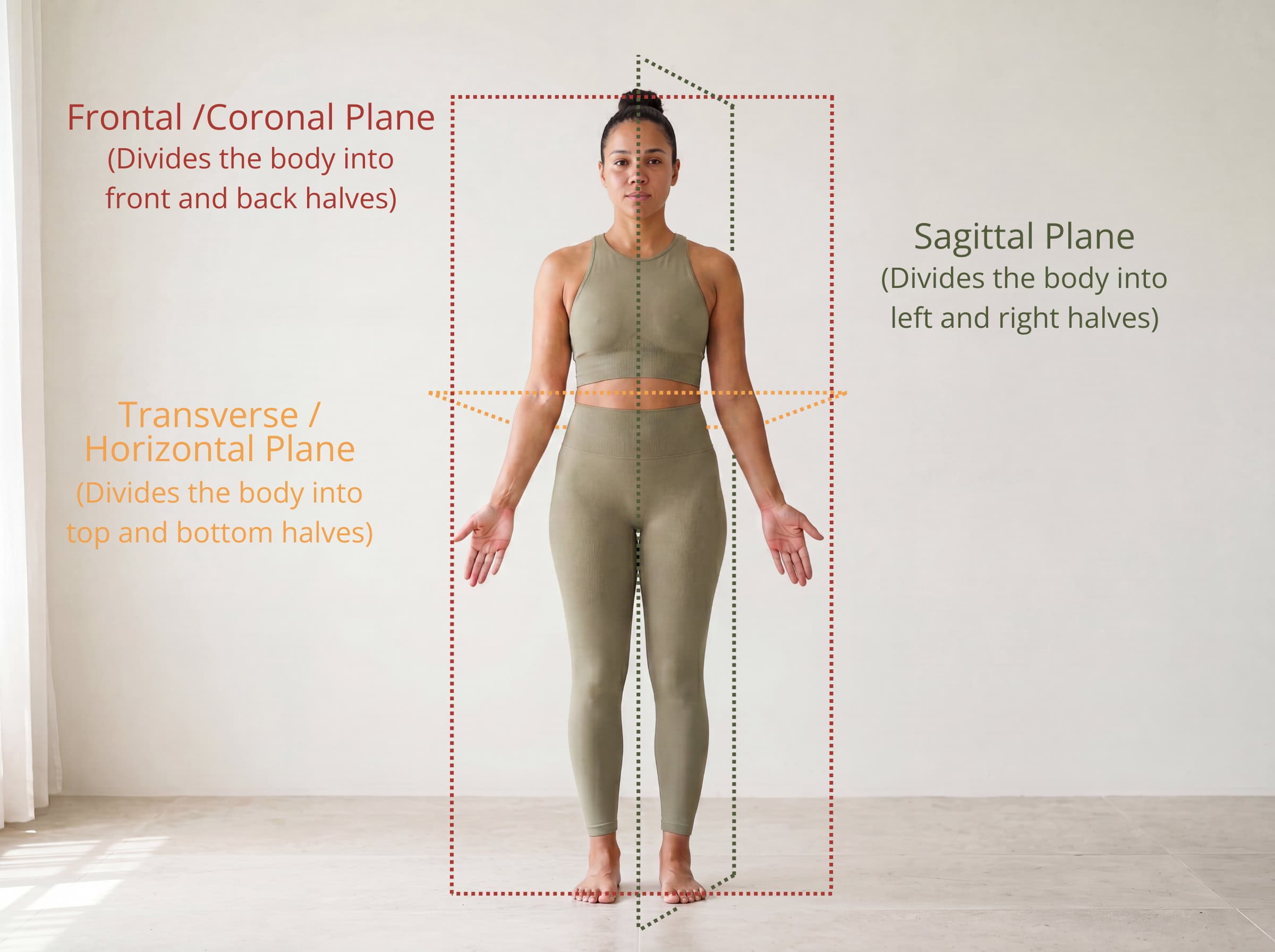 Three planes of motion — sagittal, frontal and transverse — shown cutting through a standing figure with movements labelled per plane