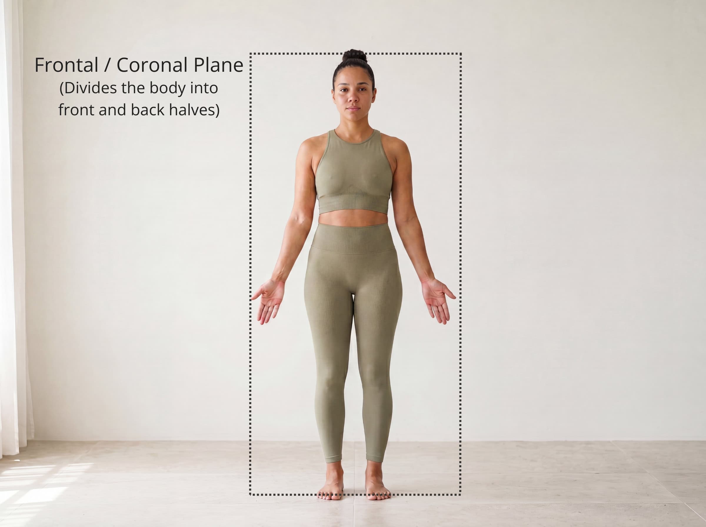 The frontal plane shown cutting through a standing figure from side to side, dividing the body into front and back halves