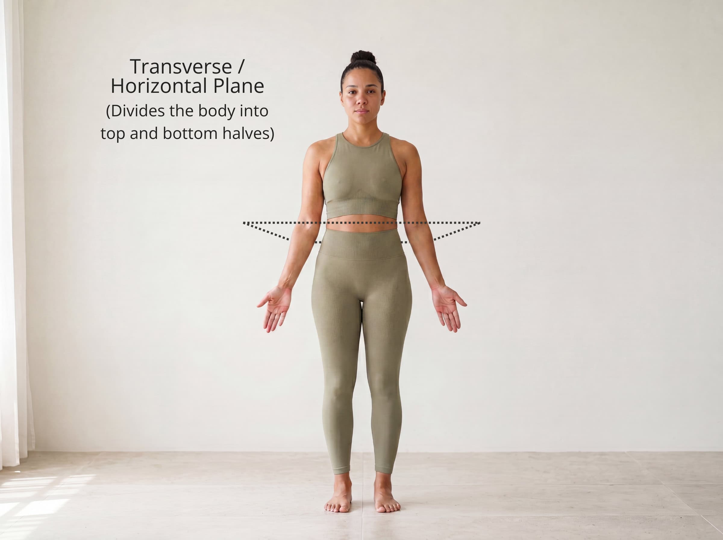 The transverse plane shown cutting through a standing figure horizontally at the waist, dividing the body into upper and lower halves — rotation happens in this plane